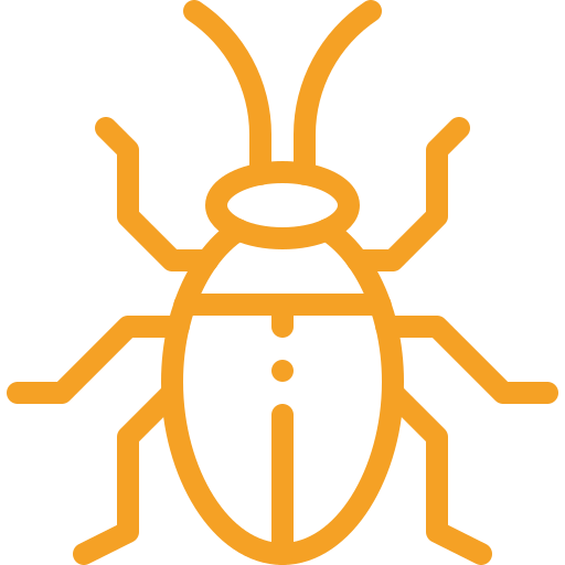insect