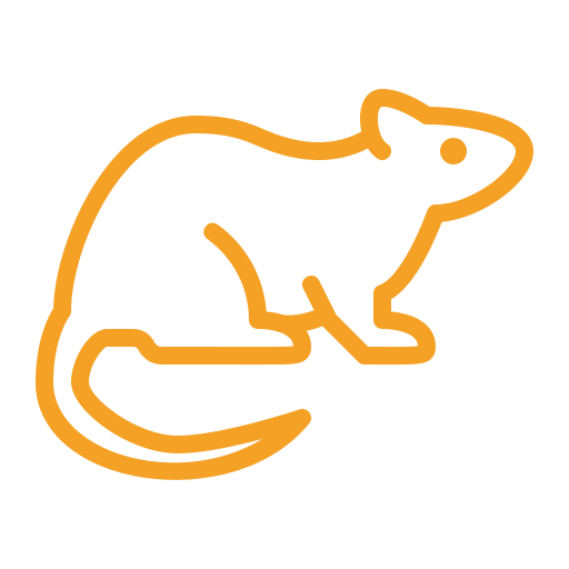 rats
